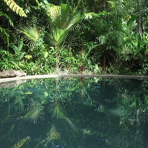 https://daintree-rainforest-retreat-motel.queenslandhotels.net